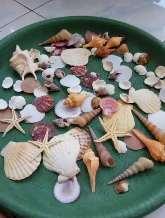 Kerang-Kerang